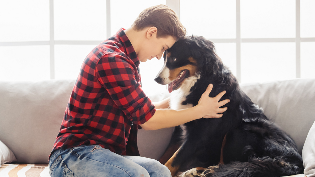Paws To Heaven Pet Crematory