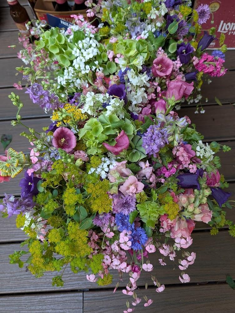 Bee Well Blooms