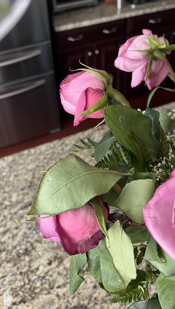 Always Flowers