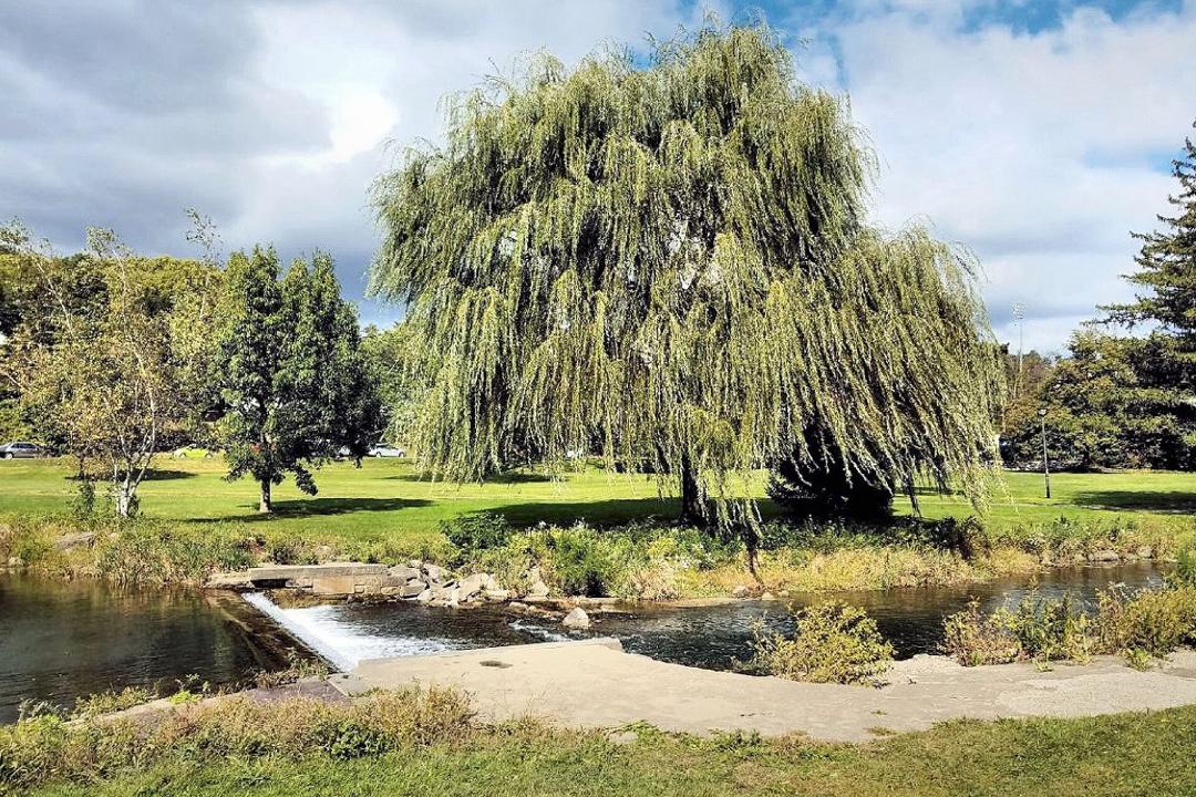 Ways to Celebrate Earth Day in the Lehigh Valley